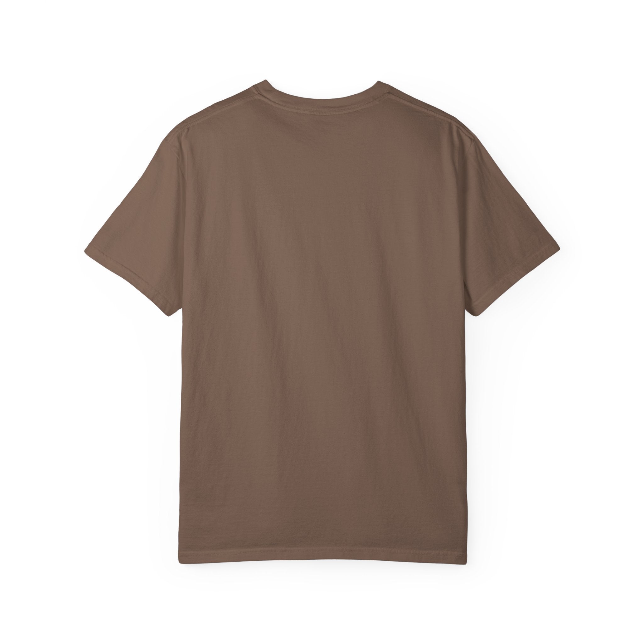 Patriotic Cats 250th Anniversary T-Shirt