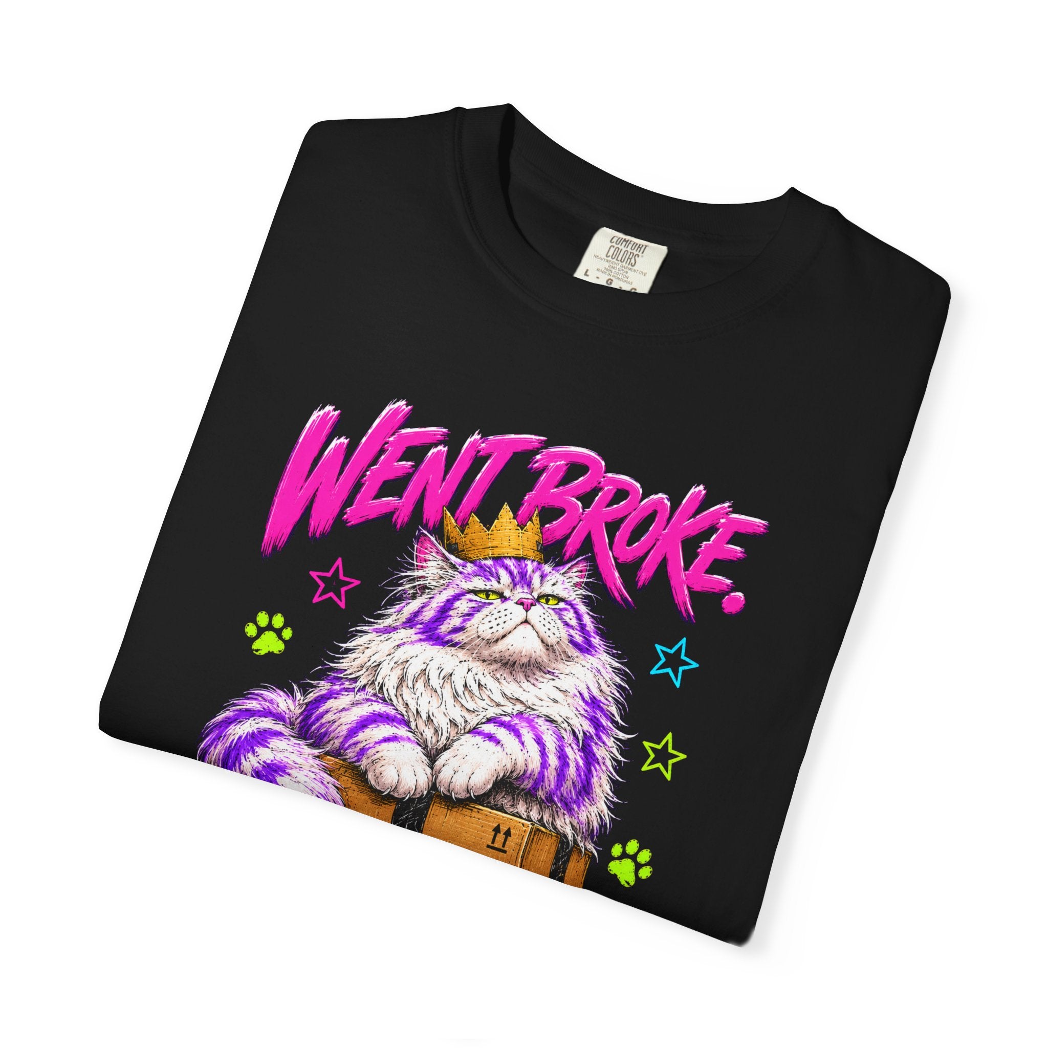 Went Broke Taken Care of My Cat graphic T-Shirt