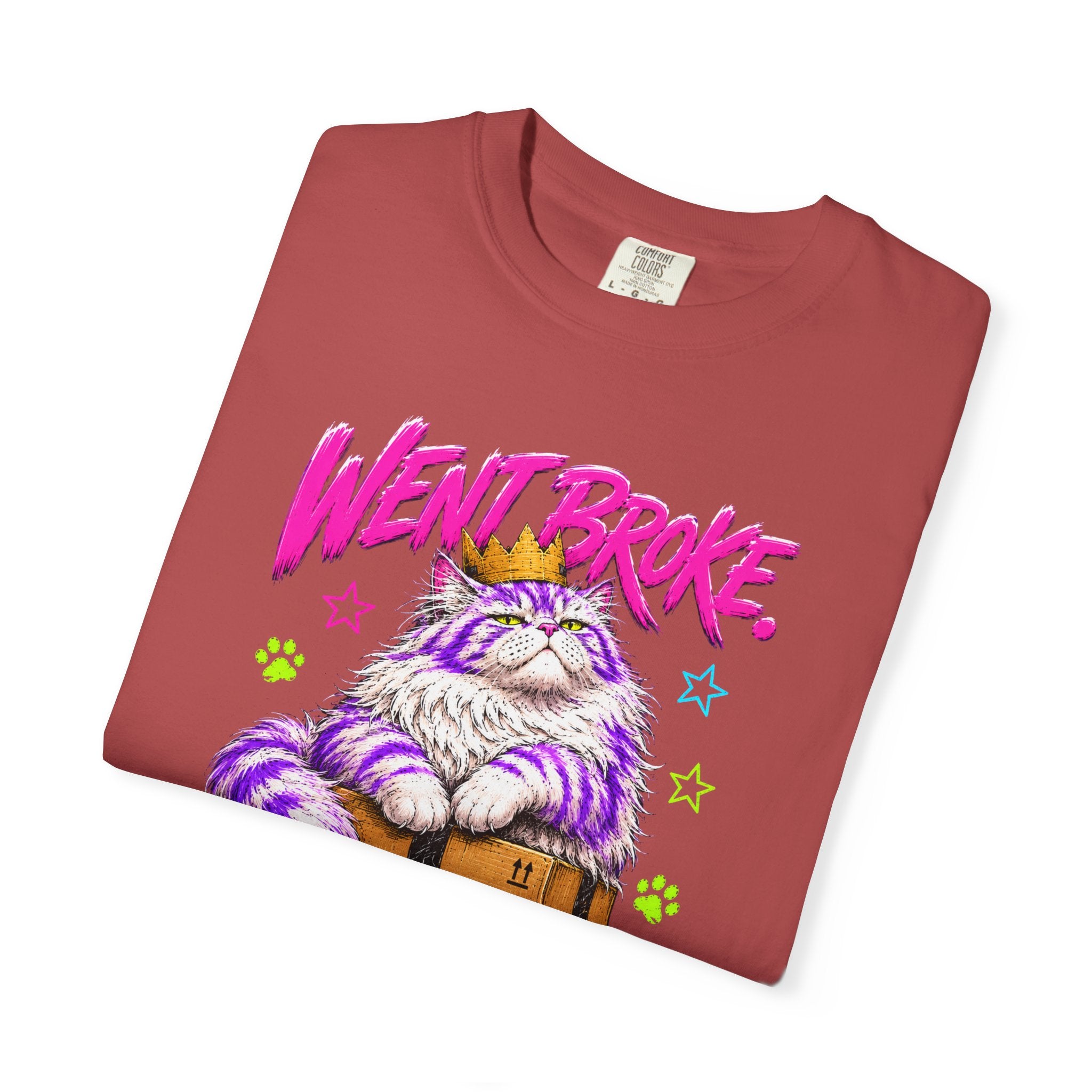 Went Broke Taken Care of My Cat graphic T-Shirt