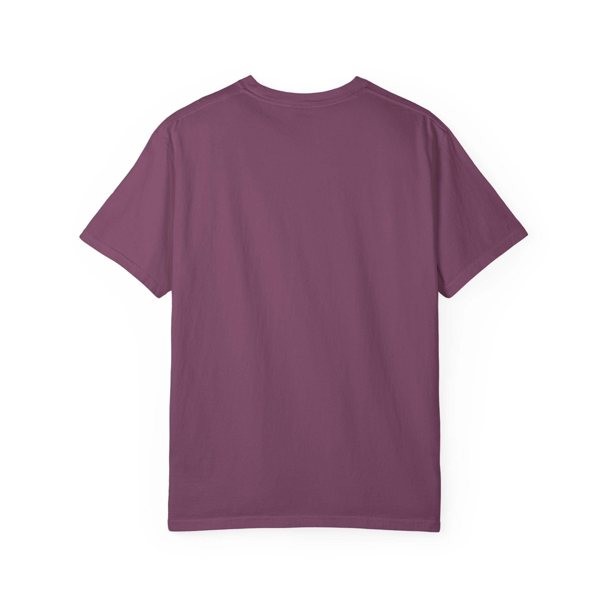 Patriotic Cats 250th Anniversary T-Shirt