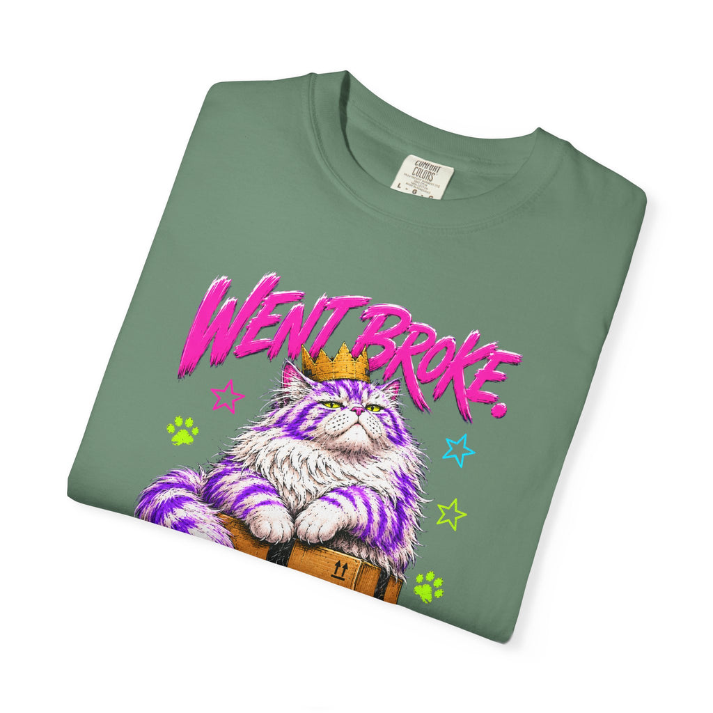 Went Broke Taken Care of My Cat graphic T-Shirt