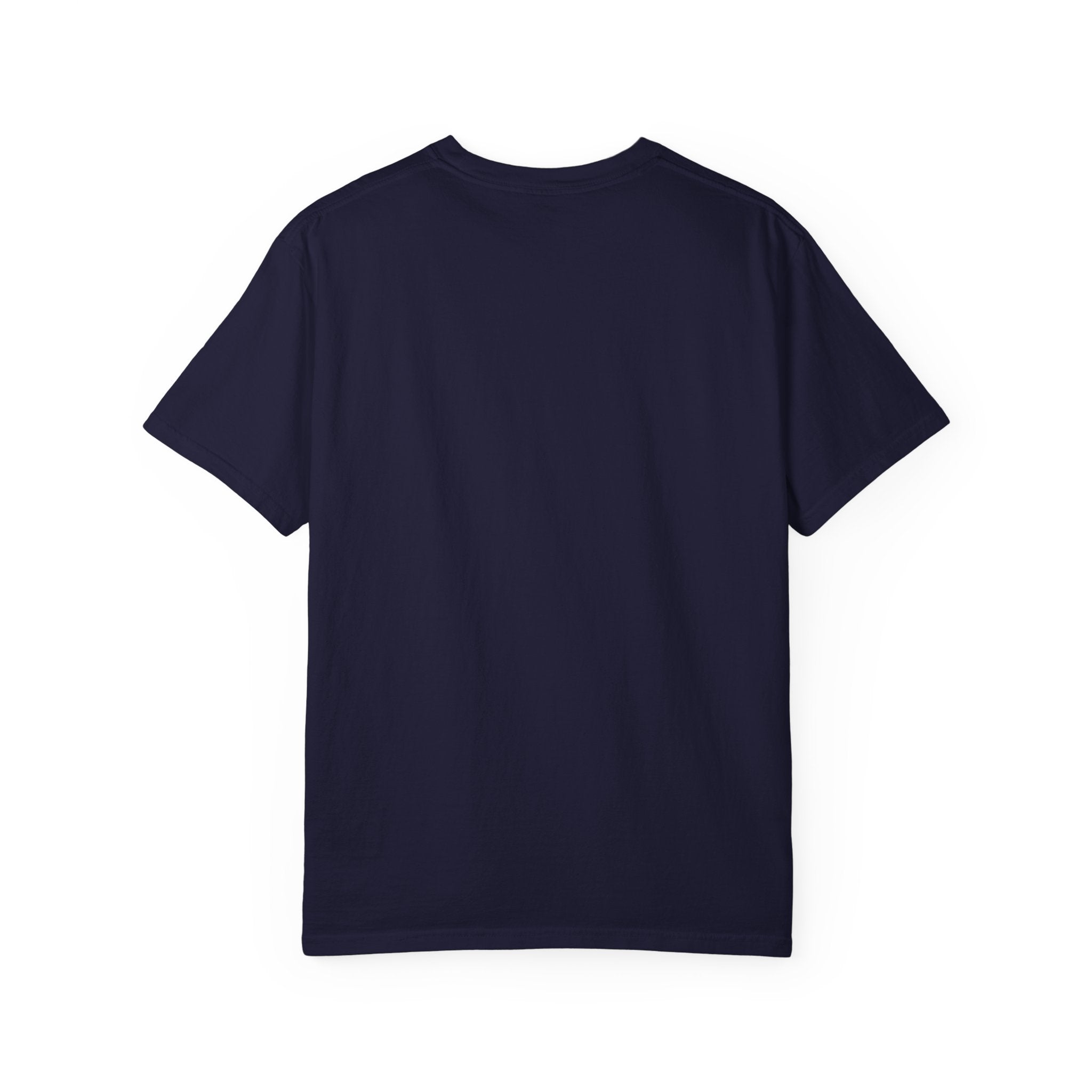 Patriotic Cats 250th Anniversary T-Shirt